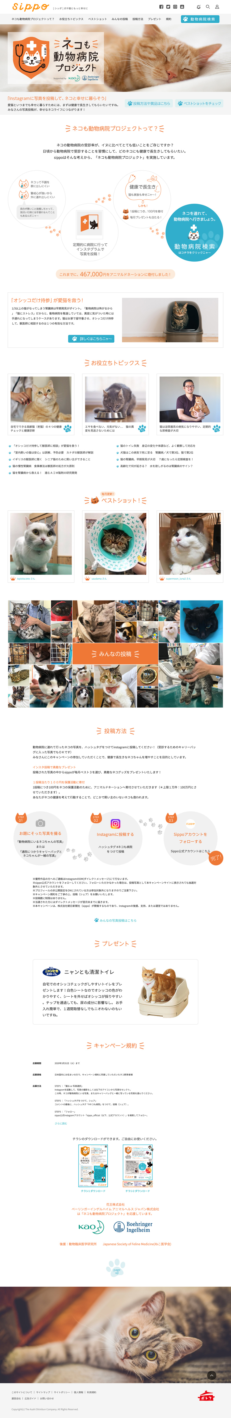 ホームページ制作事例Sippo 猫も動物病院プロジェクト